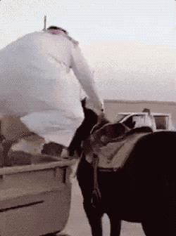 1522738905662.gif 01.gif