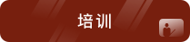 培训